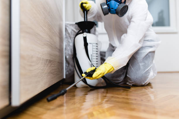 Best Exterminator Services  in Clton, IN