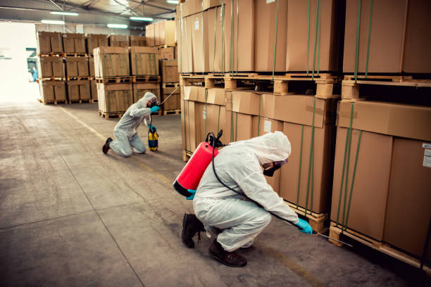 Wasp Removal Services in Clinton, IN