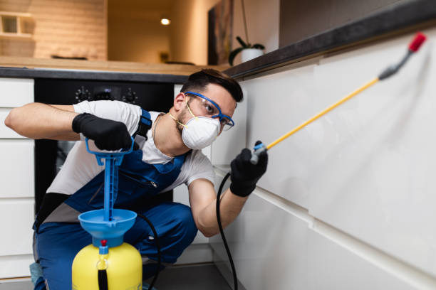 Best Cockroach Control Services  in Clton, IN