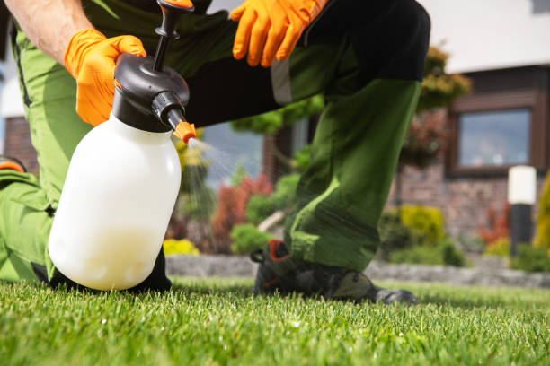 Best Exterminator Services  in Clton, IN