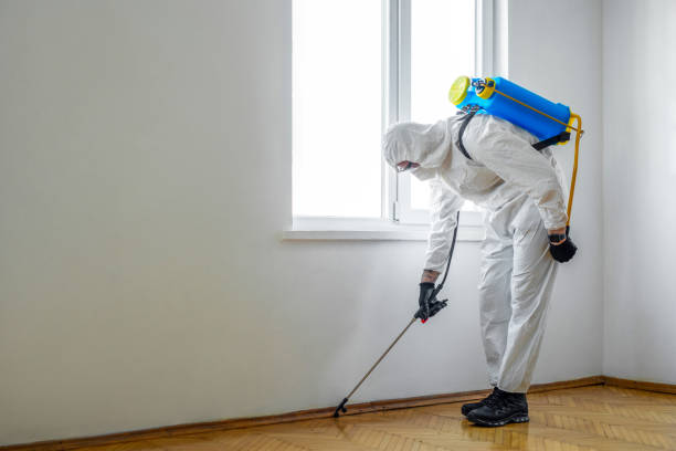 Best Local Pest Control Services  in Clton, IN
