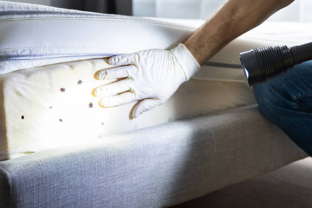 Best Best Pest Control Companies  in Clton, IN