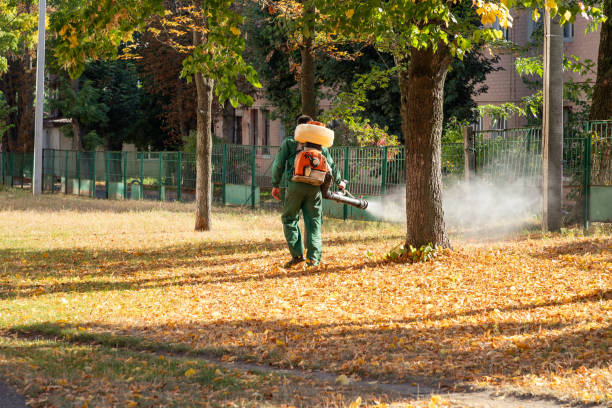 Best Pest Inspection Near Me  in Clton, IN