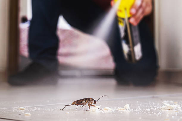Best Pest Removal Services  in Clton, IN