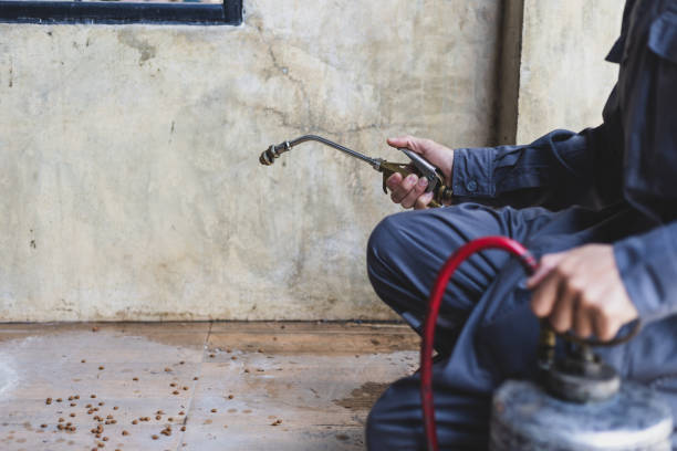 Best Best Pest Control Companies  in Clton, IN