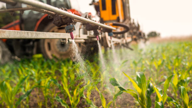 Best Pest Control Cost  in Clton, IN